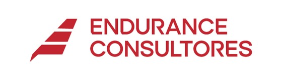 Endurance Consultores