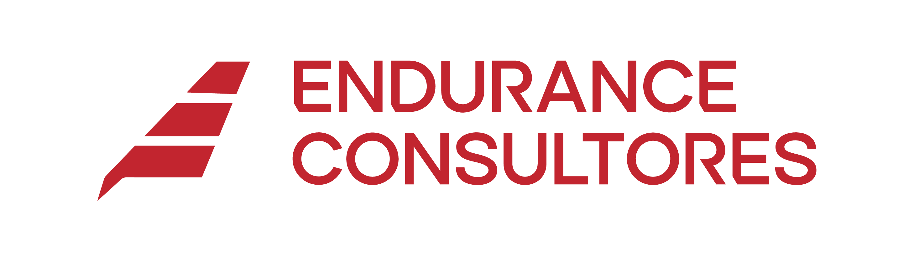 Endurance Consultores