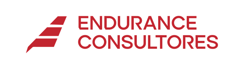 Endurance Consultores